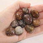 Pietersite