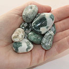 Agate - Tree