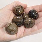 Stromatolite