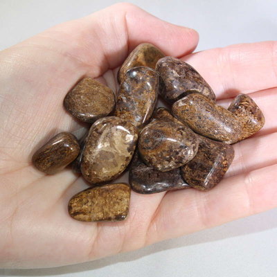 Bronzite Polished