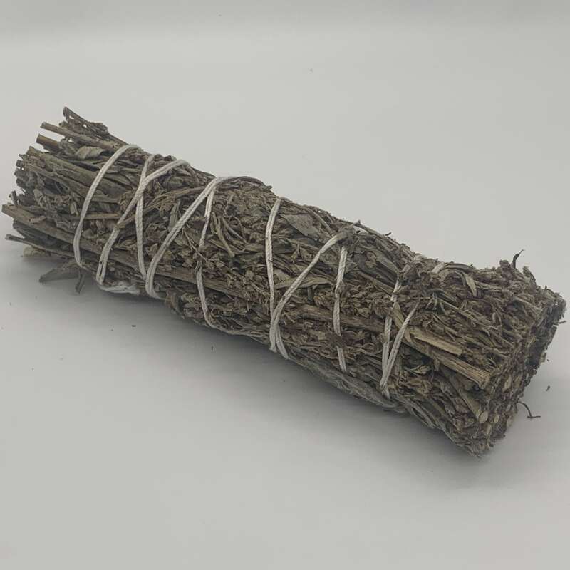 Black Sage 4" (Mugwort)